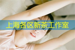 <strong>上海新茶工作室</strong>：还可以带给您内心的宁静和平衡