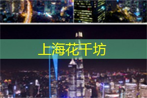 爱上海419：动态评估在夜上海教育中的实践